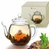 Top 10 🛒 Kaffee- & Teegeschirr Creano Teekanne "hoch 0,5L" Aus Hitzebeständigem Glas Günstig Kaufen 🤩 -Günstiges Creano Geschäft creano teekanne hoch 0 5l aus hitzebestandigem glas