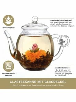 Top 10 🛒 Kaffee- & Teegeschirr Creano Teekanne "hoch 0,5L" Aus Hitzebeständigem Glas Günstig Kaufen 🤩 9 Top 10 🛒 Kaffee- & Teegeschirr Creano Teekanne "hoch 0,5L" Aus Hitzebeständigem Glas Günstig Kaufen 🤩 -Günstiges Creano Geschäft creano teekanne hoch 0 5l aus hitzebestandigem glas 2