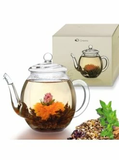 Top 10 🛒 Kaffee- & Teegeschirr Creano Teekanne "hoch 0,5L" Aus Hitzebeständigem Glas Günstig Kaufen 🤩