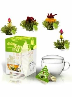 Günstiges Creano Geschäft 38 Neu 👏 Kaffee- & Teegeschirr Creano Teelini Grüntee Geschenkset Günstig Kaufen 🛒