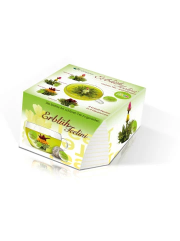 Neu 👏 Kaffee- & Teegeschirr Creano Teelini Grüntee Geschenkset Günstig Kaufen 🛒 6 Neu 👏 Kaffee- & Teegeschirr Creano Teelini Grüntee Geschenkset Günstig Kaufen 🛒 - Image 4