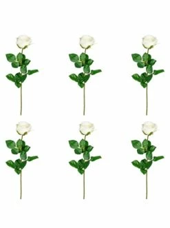 Billig ⌛ Kerzen, Vasen & Mehr Creativ Green Deko-Blume 6er Set Gartenrose Langstiel In Creme Günstig Kaufen 💯