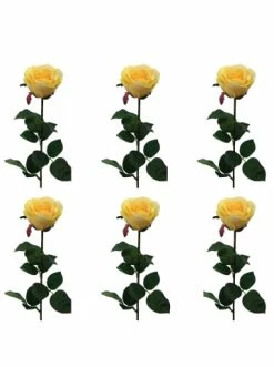 Billig 🥰 Kerzen, Vasen & Mehr Creativ Green Deko-Blume 6er Set Gartenrose Langstiel In Hellgelb Günstig Kaufen 😉