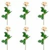 Bestes Angebot 🔔 Kerzen, Vasen & Mehr Creativ Green Deko-Blume 6er Set Gartenrose Langstiel In Hellrosa Günstig Kaufen 🔔 -Günstiges Creano Geschäft creativ green deko blume 6er set gartenrose langstiel in hellrosa