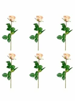 Bestes Angebot 🔔 Kerzen, Vasen & Mehr Creativ Green Deko-Blume 6er Set Gartenrose Langstiel In Hellrosa Günstig Kaufen 🔔