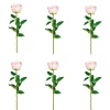 Blitzangebot 🎁 Kerzen, Vasen & Mehr Creativ Green Deko-Blume 6er Set Gartenrose Langstiel In Rosa Günstig Kaufen 🔥 -Günstiges Creano Geschäft creativ green deko blume 6er set gartenrose langstiel in rosa