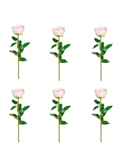 Blitzangebot 🎁 Kerzen, Vasen & Mehr Creativ Green Deko-Blume 6er Set Gartenrose Langstiel In Rosa Günstig Kaufen 🔥