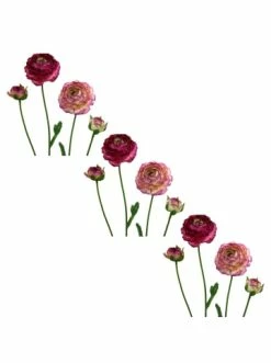 Besorgen ⌛ Kerzen, Vasen & Mehr Creativ Green Deko-Blume 6er Set Ranunkel In Lila-sortiert Günstig Kaufen 🛒