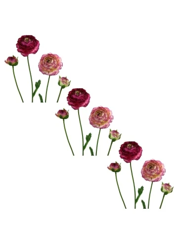 Besorgen ⌛ Kerzen, Vasen & Mehr Creativ Green Deko-Blume 6er Set Ranunkel In Lila-sortiert Günstig Kaufen 🛒 3 Besorgen ⌛ Kerzen, Vasen & Mehr Creativ Green Deko-Blume 6er Set Ranunkel In Lila-sortiert Günstig Kaufen 🛒