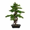 Angebote ⭐ Kerzen, Vasen & Mehr Creativ Green Deko-Bonsai Myrte In Grün Günstig Kaufen 🔥 -Günstiges Creano Geschäft creativ green deko bonsai myrte in grun 1