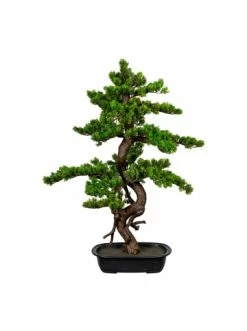 Angebote ⭐ Kerzen, Vasen & Mehr Creativ Green Deko-Bonsai Myrte In Grün Günstig Kaufen 🔥