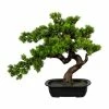 Am billigsten 😀 Kerzen, Vasen & Mehr Creativ Green Deko-Bonsai Myrte In Grün Günstig Kaufen 🎉 2 Am billigsten 😀 Kerzen, Vasen & Mehr Creativ Green Deko-Bonsai Myrte In Grün Günstig Kaufen 🎉 -Günstiges Creano Geschäft creativ green deko bonsai myrte in grun