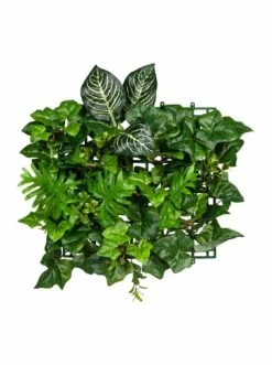 Rabatt 👏 Kerzen, Vasen & Mehr Creativ Green Deko-Element Blättermatte Philo-Efeu 2er Set In Grün Günstig Kaufen ⭐ -Günstiges Creano Geschäft creativ green deko element blattermatte philo efeu 2er set in grun 1