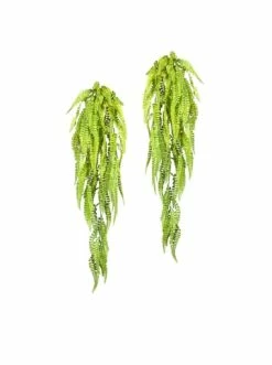 Top 10 🎉 Kerzen, Vasen & Mehr Creativ Green Deko-Hänger Adianthum 2er Set In Grün Günstig Kaufen 👍