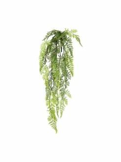 Am billigsten 🧨 Kerzen, Vasen & Mehr Creativ Green Deko-Hänger Farnbusch In Grün Günstig Kaufen 🎁