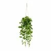Bester Verkauf 🥰 Kerzen, Vasen & Mehr Creativ Green Deko-Hänger Philodendron Im Hängetopf In Grün Günstig Kaufen ⌛ -Günstiges Creano Geschäft creativ green deko hanger philodendron im hangetopf in grun