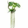 Top 10 🛒 Kerzen, Vasen & Mehr Creativ Green Deko-Hänger Splitphilodendron In Grün Günstig Kaufen 😍 2 Top 10 🛒 Kerzen, Vasen & Mehr Creativ Green Deko-Hänger Splitphilodendron In Grün Günstig Kaufen 😍 -Günstiges Creano Geschäft creativ green deko hanger splitphilodendron in grun
