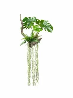 Top 10 🛒 Kerzen, Vasen & Mehr Creativ Green Deko-Hänger Splitphilodendron In Grün Günstig Kaufen 😍
