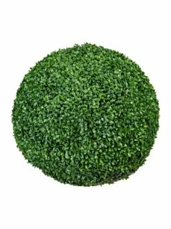 Bestpreis ✨ Kerzen, Vasen & Mehr Creativ Green Deko-Kugel Buchsbaum In Grün Günstig Kaufen 🧨