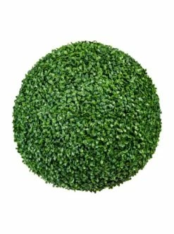 Großhandel 👏 Kerzen, Vasen & Mehr Creativ Green Deko-Kugel Buchsbaum In Grün Günstig Kaufen 👏
