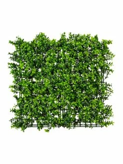 Top 10 😍 Kerzen, Vasen & Mehr Creativ Green Deko-Matte Ruscus In Grün Günstig Kaufen 😍