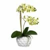 Blitzangebot 🧨 Kerzen, Vasen & Mehr Creativ Green Deko-Orchidee Phalaenopsis In Grün Günstig Kaufen 👏 1 Blitzangebot 🧨 Kerzen, Vasen & Mehr Creativ Green Deko-Orchidee Phalaenopsis In Grün Günstig Kaufen 👏 -Günstiges Creano Geschäft creativ green deko orchidee phalaenopsis in grun