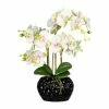 Aktion 🎉 Kerzen, Vasen & Mehr Creativ Green Deko-Orchidee Phalaenopsis In Grün-weiß Günstig Kaufen 👏 -Günstiges Creano Geschäft creativ green deko orchidee phalaenopsis in grun weiss