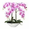 Großhandel 🛒 Kerzen, Vasen & Mehr Creativ Green Deko-Orchidee Phalaenopsis In Lila Günstig Kaufen 🌟 -Günstiges Creano Geschäft creativ green deko orchidee phalaenopsis in lila 1