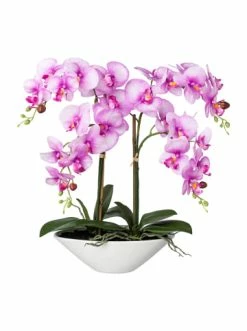 Beste Bewertungen von ✔️ Kerzen, Vasen & Mehr Creativ Green Deko-Orchidee Phalaenopsis In Lila Günstig Kaufen 🔔