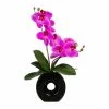 Bestpreis 👍 Kerzen, Vasen & Mehr Creativ Green Deko-Orchidee Phalaenopsis In Lila Günstig Kaufen 🎁 -Günstiges Creano Geschäft creativ green deko orchidee phalaenopsis in lila