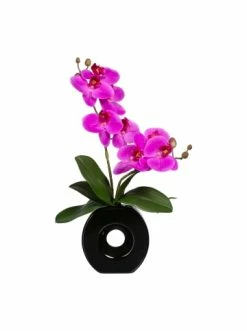 Besorgen 😀 Kerzen, Vasen & Mehr Creativ Green Deko-Orchidee Phalaenopsis In Lila Günstig Kaufen 🔥