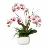 Bestes Angebot ⌛ Kerzen, Vasen & Mehr Creativ Green Deko-Orchidee Phalaenopsis In Lila Günstig Kaufen 🧨