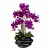 Top 10 ❤️ Kerzen, Vasen & Mehr Creativ Green Deko-Orchidee Phalaenopsis In Lila Günstig Kaufen 😍 -Günstiges Creano Geschäft creativ green deko orchidee phalaenopsis in lila 4