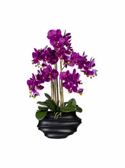 Top 10 ❤️ Kerzen, Vasen & Mehr Creativ Green Deko-Orchidee Phalaenopsis In Lila Günstig Kaufen 😍