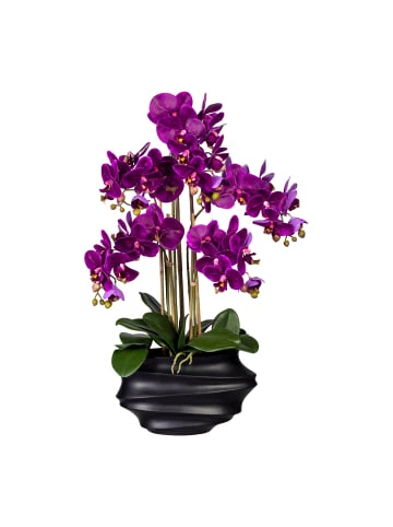Top 10 ❤️ Kerzen, Vasen & Mehr Creativ Green Deko-Orchidee Phalaenopsis In Lila Günstig Kaufen 😍 3 Top 10 ❤️ Kerzen, Vasen & Mehr Creativ Green Deko-Orchidee Phalaenopsis In Lila Günstig Kaufen 😍