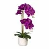 Aktion 🧨 Kerzen, Vasen & Mehr Creativ Green Deko-Orchidee Phalaenopsis In Lila Günstig Kaufen 👏 -Günstiges Creano Geschäft creativ green deko orchidee phalaenopsis in lila 5