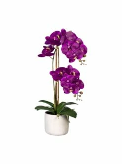 Aktion 🧨 Kerzen, Vasen & Mehr Creativ Green Deko-Orchidee Phalaenopsis In Lila Günstig Kaufen 👏