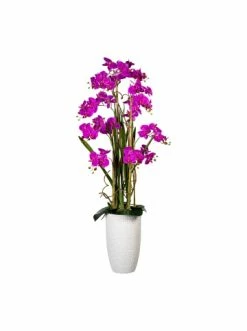 Neu 🛒 Kerzen, Vasen & Mehr Creativ Green Deko-Orchidee Phalaenopsis In Lila Günstig Kaufen 🧨