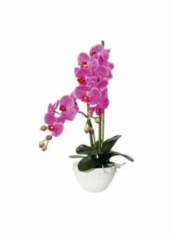 Schlussverkauf 🥰 Kerzen, Vasen & Mehr Creativ Green Deko-Orchidee Phalaenopsis In Lila Günstig Kaufen 🎉
