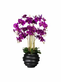 Besorgen 😀 Kerzen, Vasen & Mehr Creativ Green Deko-Orchidee Phalaenopsis In Lila Günstig Kaufen 🥰