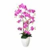 Angebote 🌟 Kerzen, Vasen & Mehr Creativ Green Deko-Orchidee Phalaenopsis In Lila Günstig Kaufen 🎉 -Günstiges Creano Geschäft creativ green deko orchidee phalaenopsis in lila 9