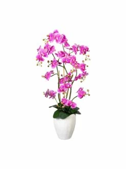 Angebote 🌟 Kerzen, Vasen & Mehr Creativ Green Deko-Orchidee Phalaenopsis In Lila Günstig Kaufen 🎉