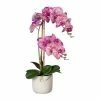 Auslauf 😀 Kerzen, Vasen & Mehr Creativ Green Deko-Orchidee Phalaenopsis In Pink-creme Günstig Kaufen 🤩
