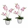 Schlussverkauf 👍 Kerzen, Vasen & Mehr Creativ Green Deko-Orchidee Phalaenopsis In Rosa Günstig Kaufen 🥰 -Günstiges Creano Geschäft creativ green deko orchidee phalaenopsis in rosa