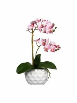 Bester Verkauf ✔️ Kerzen, Vasen & Mehr Creativ Green Deko-Orchidee Phalaenopsis In Rosa Günstig Kaufen 👏