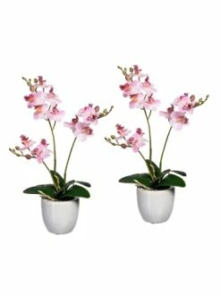 Schlussverkauf 👍 Kerzen, Vasen & Mehr Creativ Green Deko-Orchidee Phalaenopsis In Rosa Günstig Kaufen 🥰