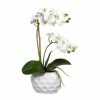 Bestpreis ✔️ Kerzen, Vasen & Mehr Creativ Green Deko-Orchidee Phalaenopsis In Weiß Günstig Kaufen ✨ -Günstiges Creano Geschäft creativ green deko orchidee phalaenopsis in weiss