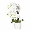 Bestpreis ❤️ Kerzen, Vasen & Mehr Creativ Green Deko-Orchidee Phalaenopsis In Weiß Günstig Kaufen ⌛ -Günstiges Creano Geschäft creativ green deko orchidee phalaenopsis in weiss 11