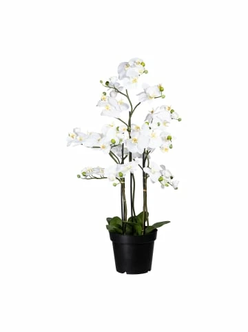 Bestes Angebot 😉 Kerzen, Vasen & Mehr Creativ Green Deko-Orchidee Phalaenopsis In Weiß Günstig Kaufen 🤩 3 Bestes Angebot 😉 Kerzen, Vasen & Mehr Creativ Green Deko-Orchidee Phalaenopsis In Weiß Günstig Kaufen 🤩
