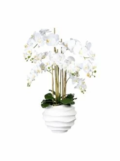 Schlussverkauf 😍 Kerzen, Vasen & Mehr Creativ Green Deko-Orchidee Phalaenopsis In Weiß Günstig Kaufen 🔥